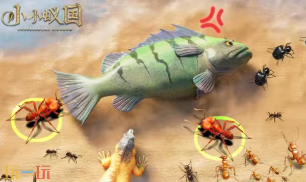 小小蚁国-官网首页入口在哪里-小小蚁国-官网首页入口地址