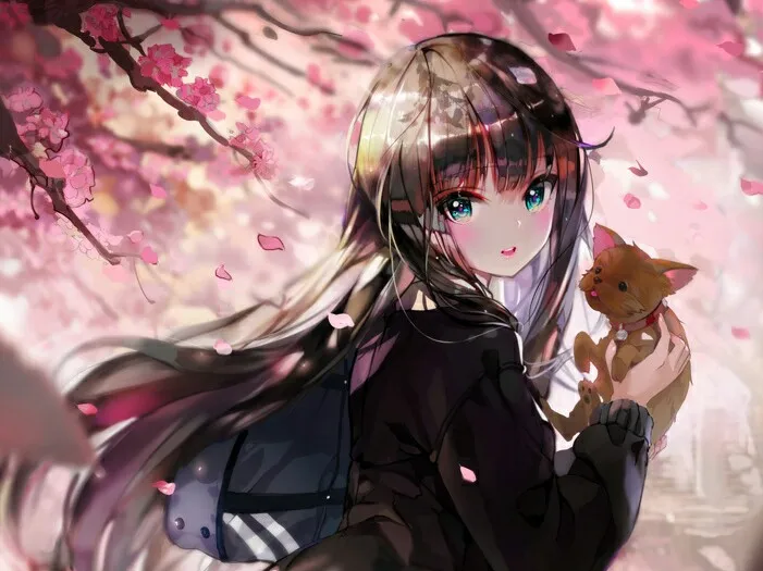 蛙漫漫画入口怎么进-在线阅读正版漫画无需下载APP