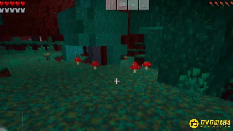 《我的世界手游》发酵蛛眼获取方法