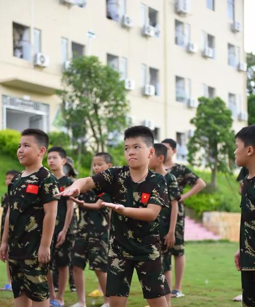 亮剑2特战技能加点攻略（亮剑2特战技能加点攻略，打造无敌战斗团队）