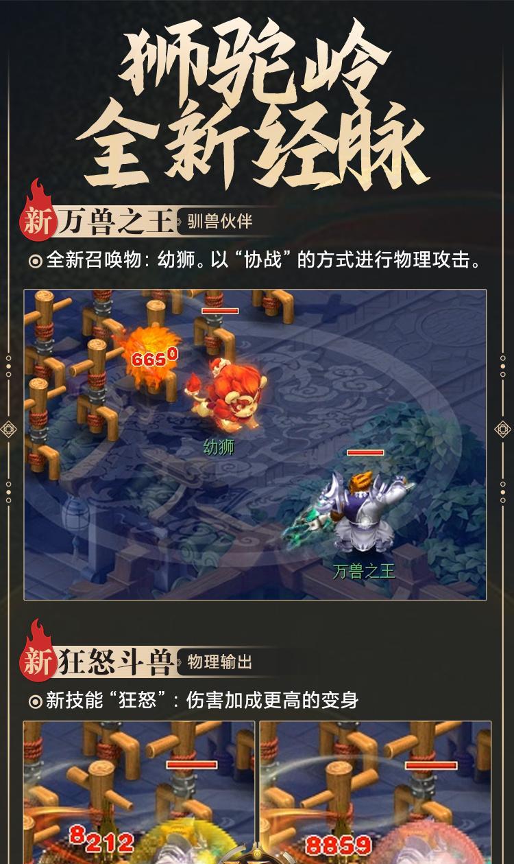 《梦幻西游幼狮技能加点攻略》（打造强力幼狮，技能加点关键解析）