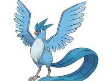 口袋妖怪漆黑的魅影5.0神兽位置大全