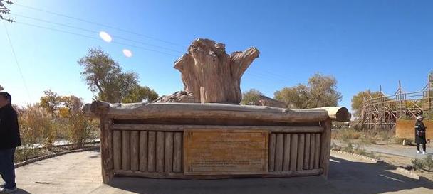 狩猎驿站攻略（一步步教你掌握狩猎驿站中的各种技能，提升你的狩猎实力）