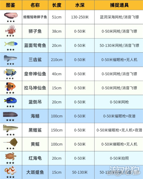 潜水员戴夫鱼类图鉴大全-2