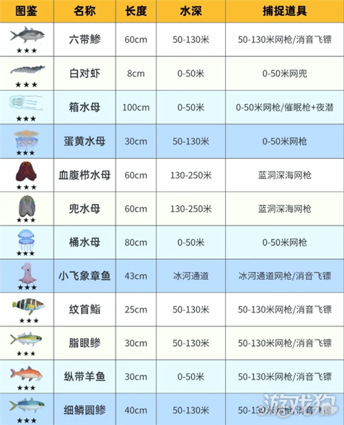 潜水员戴夫鱼类图鉴大全-3