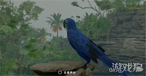 红色沙漠紫蓝金刚鹦鹉捕获攻略-5