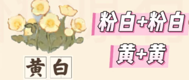桃源深处有人家虞美人育种培育配方指南