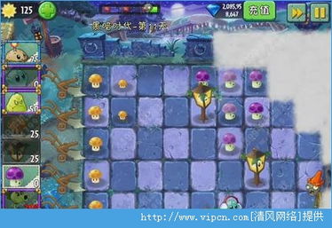 植物大战僵尸2黑暗时代难关如何通关