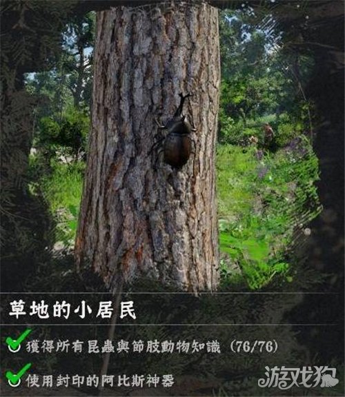 红色沙漠挑战任务蝴蝶收集攻略-1