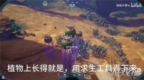 深海迷航2死腐水母包囊位置介绍-4