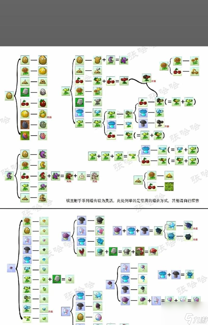 《植物大战僵尸经典十二炮阵型详解分析》（揭秘游戏中最强力的十二炮阵型）