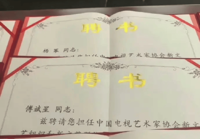 中国视协双新工作委员会换届 杨幂受聘担任副会长