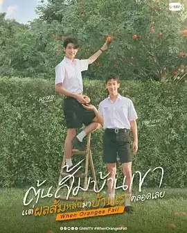 电视剧《当橘子掉落时》剧情介绍