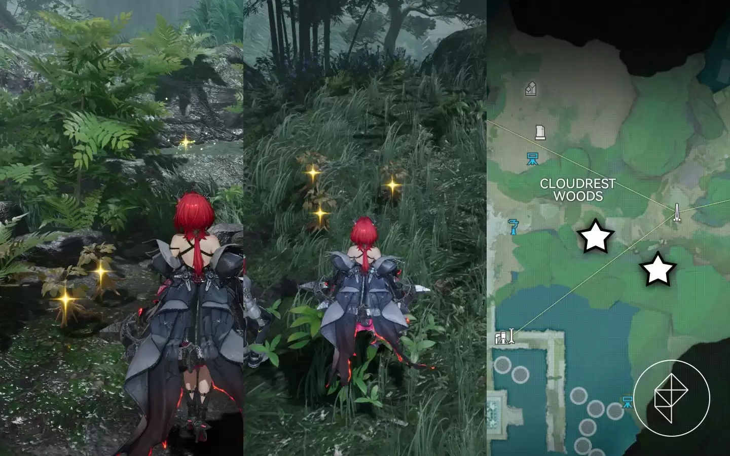 如何在 明日方舟: Endfield 中找到红玉参