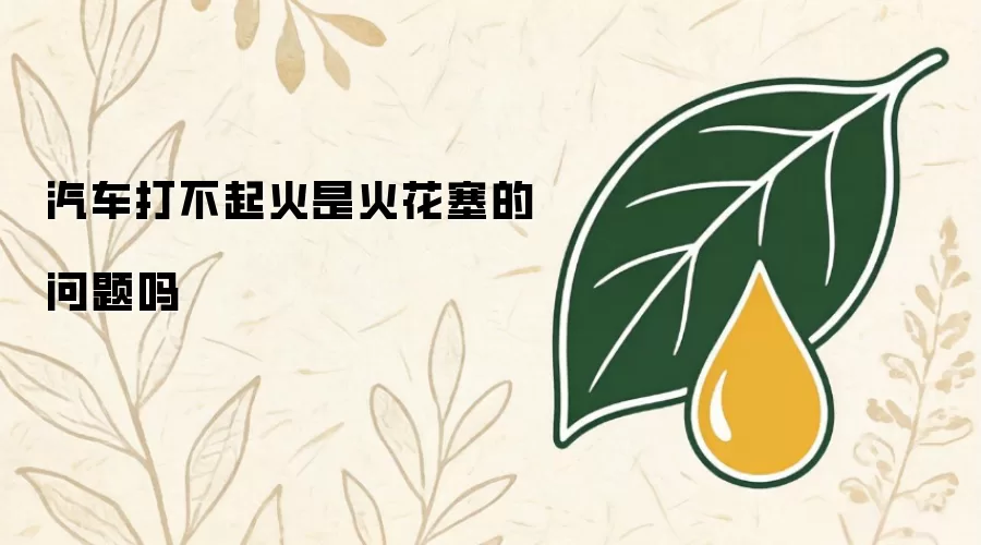 汽车打不起火是火花塞的问题吗