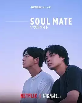 电视剧《灵魂之伴》剧情介绍
