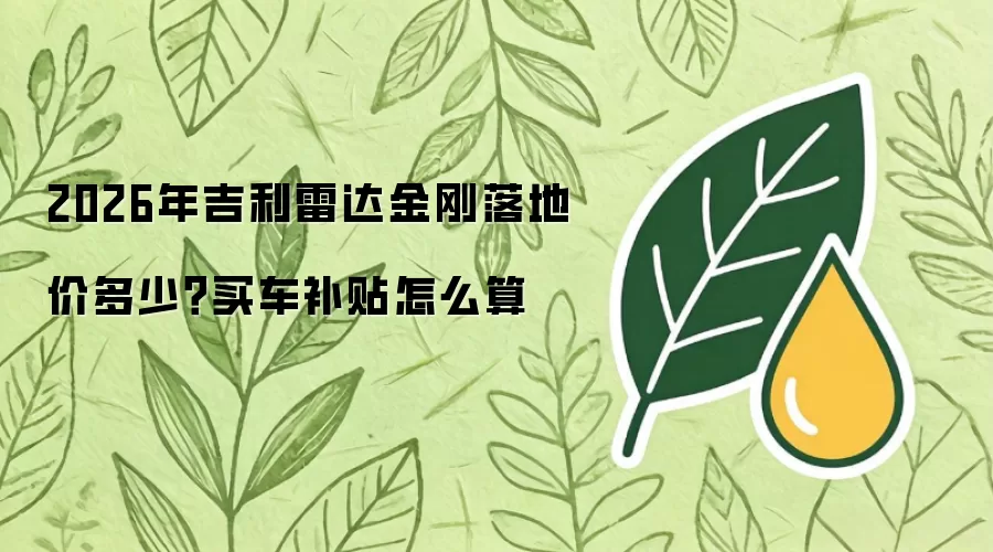 2026年吉利雷达金刚落地价多少？买车补贴怎么算