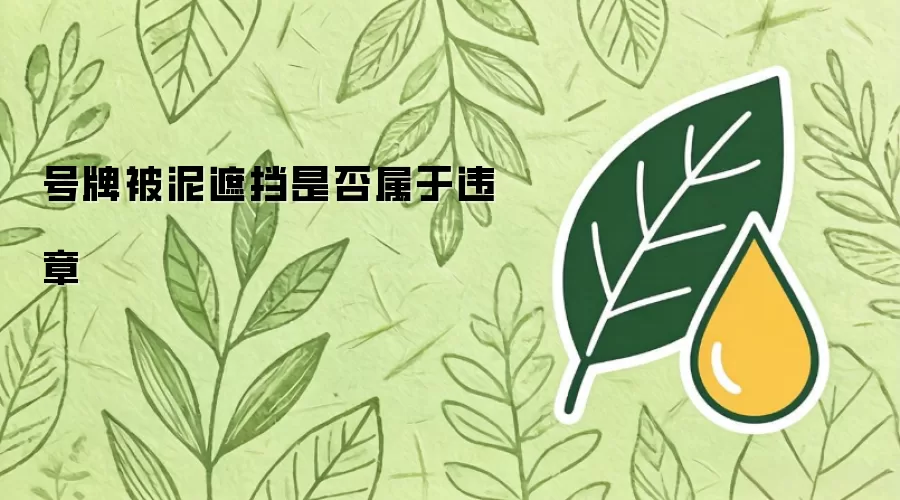 号牌被泥遮挡是否属于违章