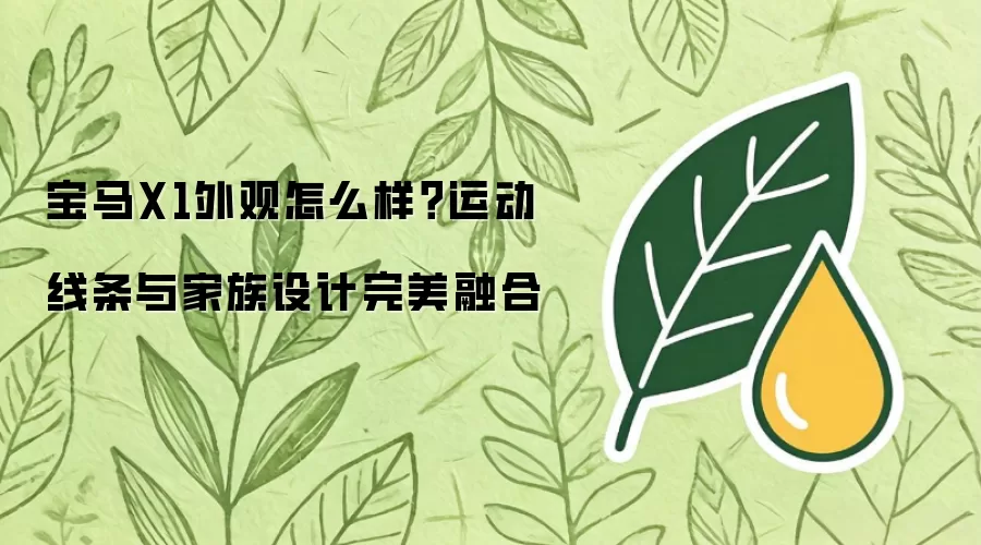 宝马X1外观怎么样？运动线条与家族设计完美融合