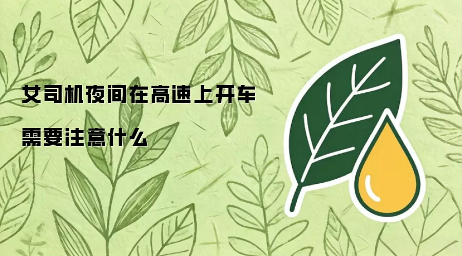 女司机夜间在高速上开车需要注意什么