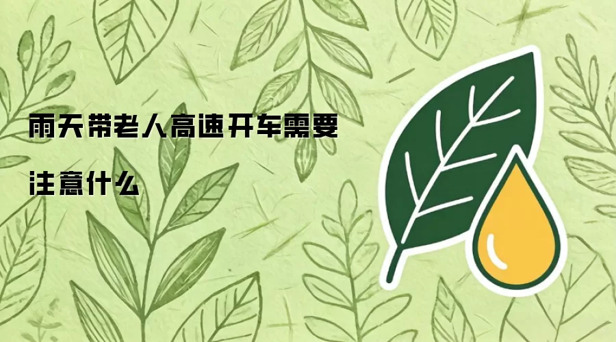 雨天带老人高速开车需要注意什么