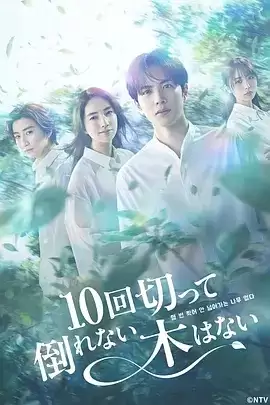 电视剧《没有砍十次还不倒的树》剧情介绍