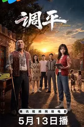 电影《调平》剧情介绍