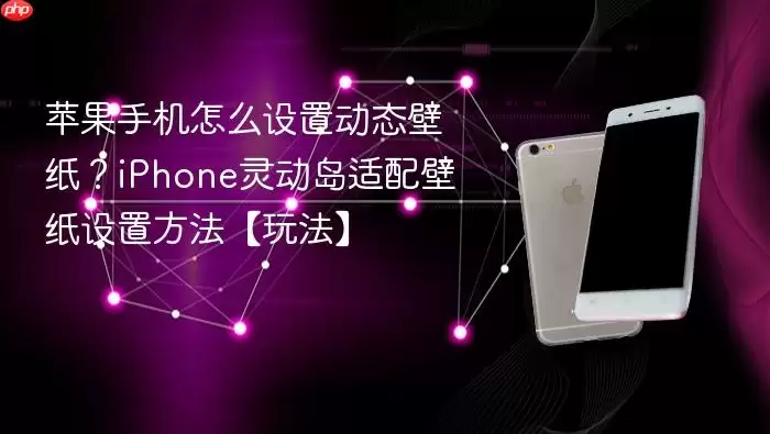 苹果手机怎么设置动态壁纸？iPhone灵动岛适配壁纸设置方法【玩法】