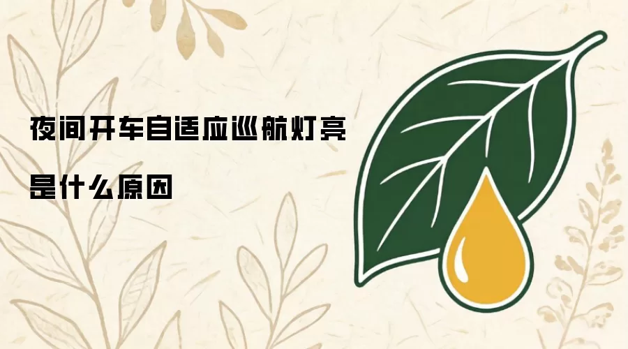 夜间开车自适应巡航灯亮是什么原因