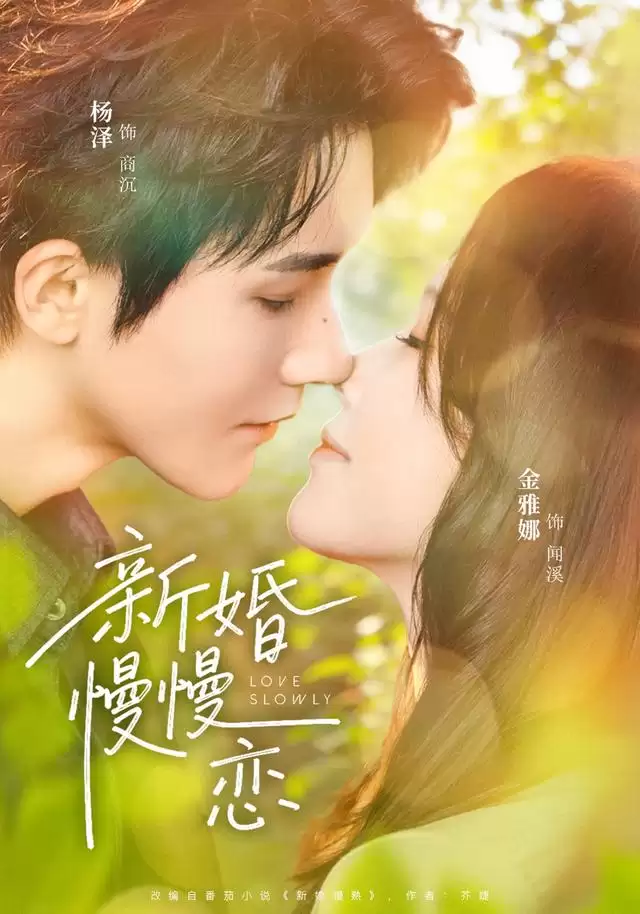 短剧《新婚慢慢恋》剧情介绍
