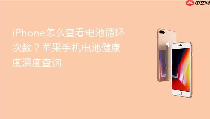 iPhone怎么查看电池循环次数？苹果手机电池健康度深度查询