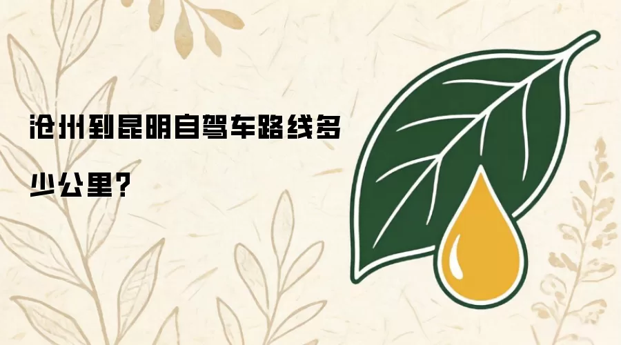 沧州到昆明自驾车路线多少公里?