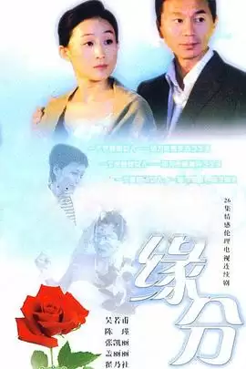 电视剧《缘分的天空》剧情介绍
