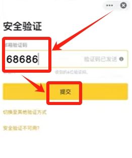 安全验证界面