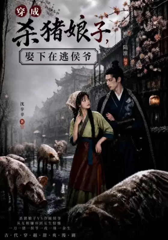 短剧穿成杀猪娘子娶下在逃侯爷剧情介绍