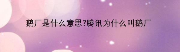 鹅厂-腾讯为什么叫鹅厂