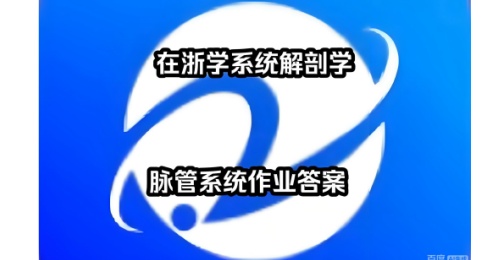 在浙学电脑版登录地址-在浙学官网网页版登录通道