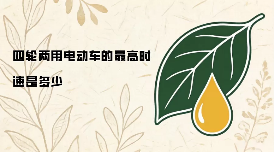四轮两用电动车的最高时速是多少