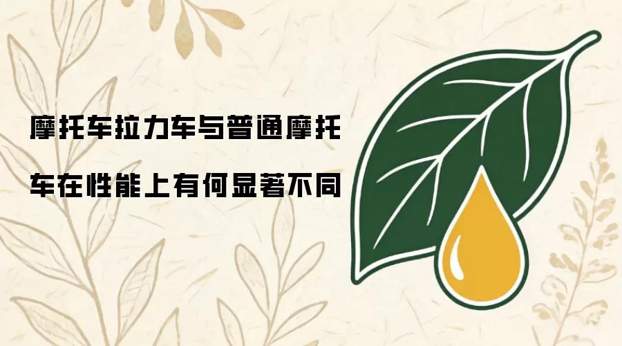 摩托车拉力车与普通摩托车在性能上有何显著不同
