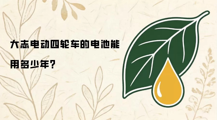 大志电动四轮车的电池能用多少年？