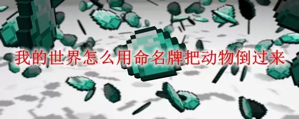 我的世界如何用命名牌让动物倒立