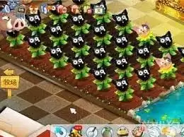 qq农场种植哪些作物收益最高：金币快速获取指南