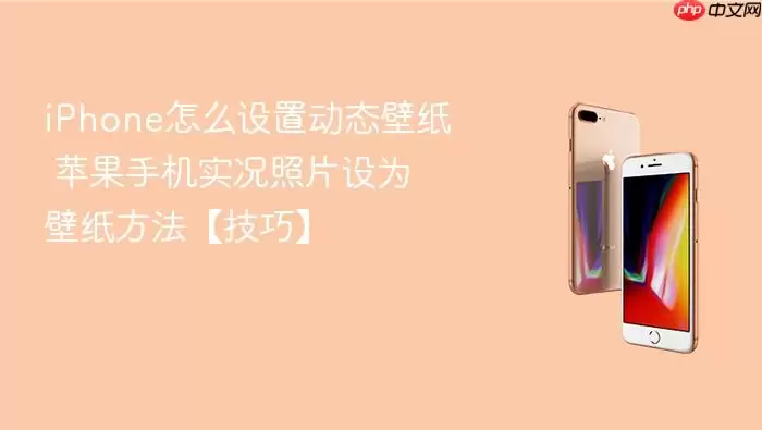 iPhone如何设置动态壁纸：苹果手机实况照片设为壁纸详细教程
