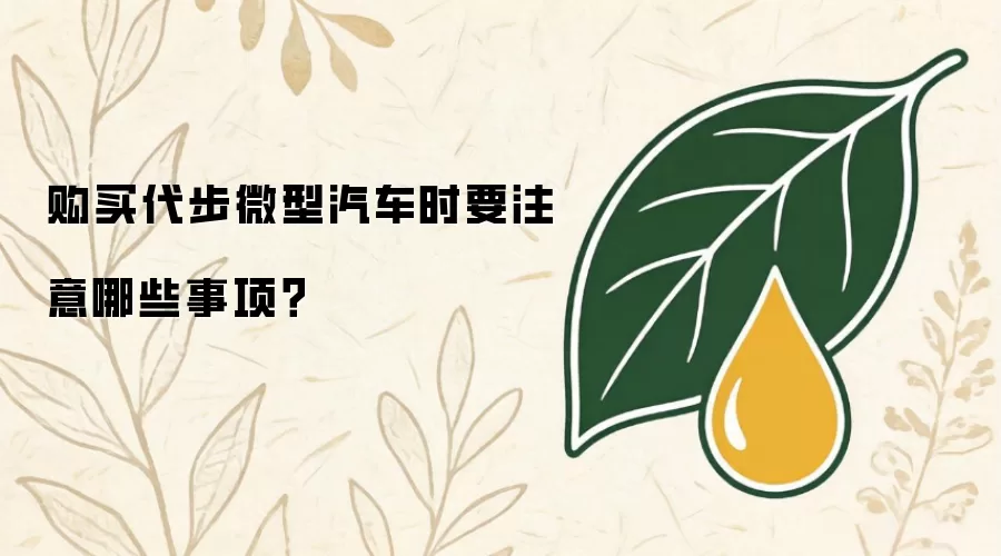 购买代步微型汽车时要注意哪些事项?