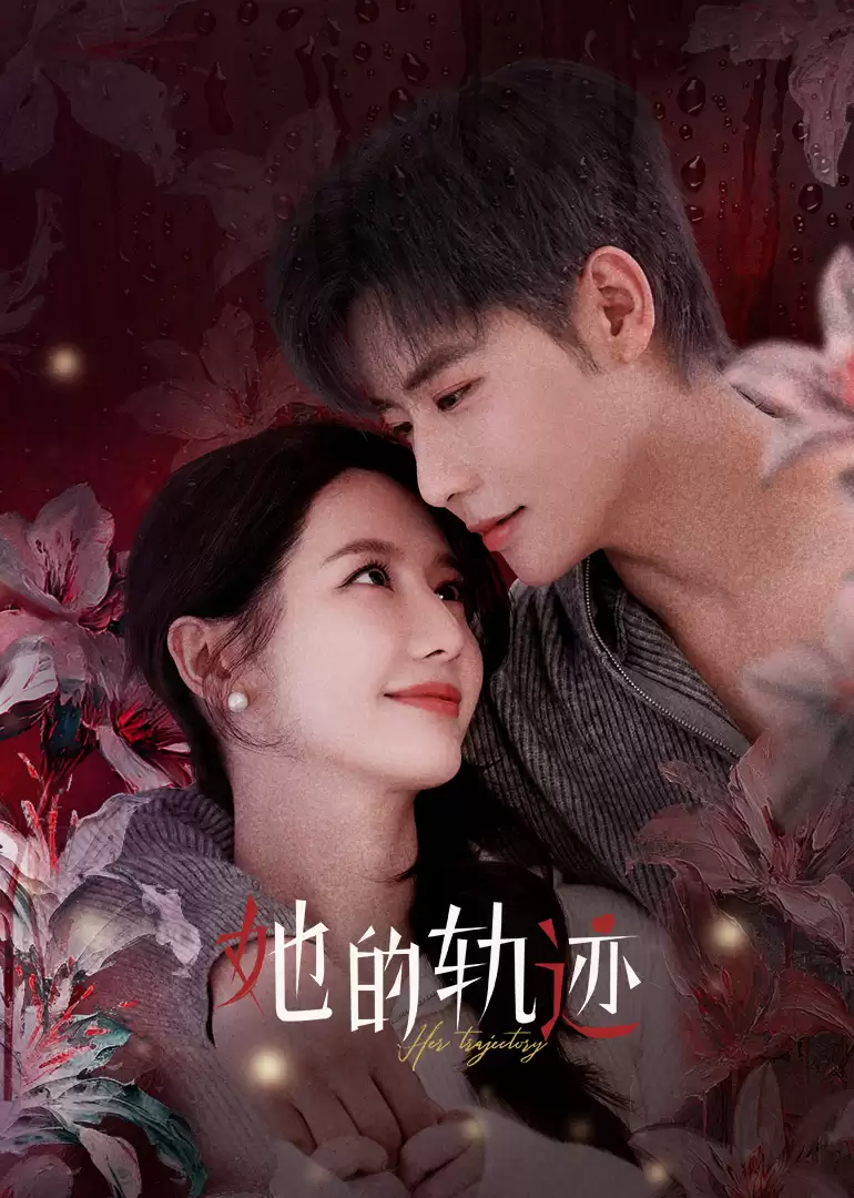 电视剧《她的轨迹》剧情介绍