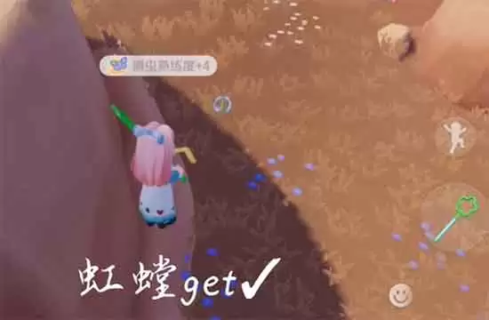 心动小镇怎么捕虫 解锁捕虫攻略