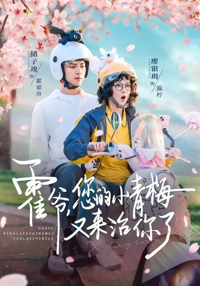 短剧《霍爷-您的小青梅又来治你了》剧情梗概：青梅竹马再续前缘
