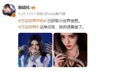 鞠婧祎戏份疑遭删减：《万花世界》剧组二次发声回应争议