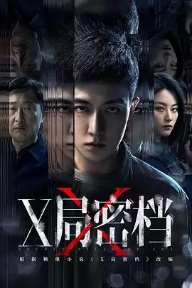 X局密档电视剧剧情解析