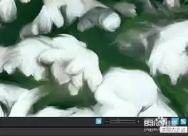 ACDSee怎样调整预览窗口尺寸
